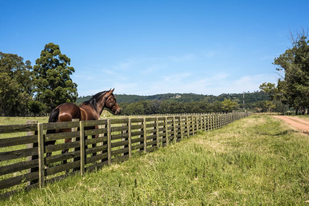 Ranch Fence Installation